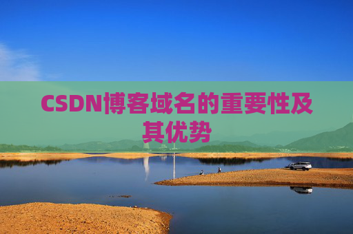 CSDN博客域名的重要性及其优势